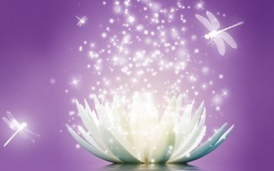 Vipassana elvonulás