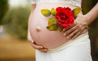 1. Hogyan kezdődik az élet? – Fogantatástól az elmúlásig