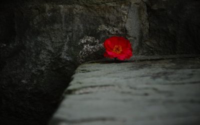 Szaturnusz a Vízöntő jegyében