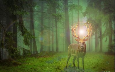 Jupiter a Bika jegyében