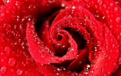 Amit jó tudni a vörös színről